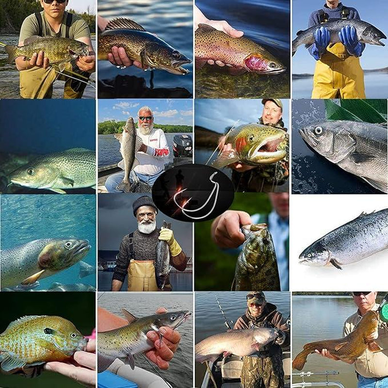 Worm Hooks for Bass Fishing Hooks, 110Pcs Bass Hooks Fishing
