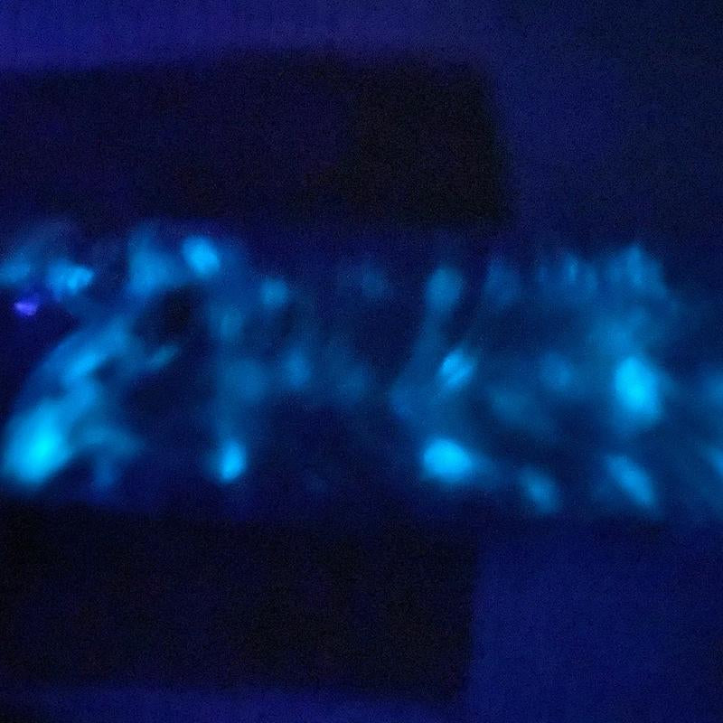 Skate or Fly Glow in the Dark Skateboard
